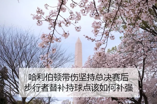 哈利伯顿带伤坚持总决赛后 步行者替补持球点该如何补强