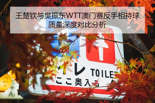 王楚钦与樊振东WTT澳门赛反手相持球质量深度对比分析